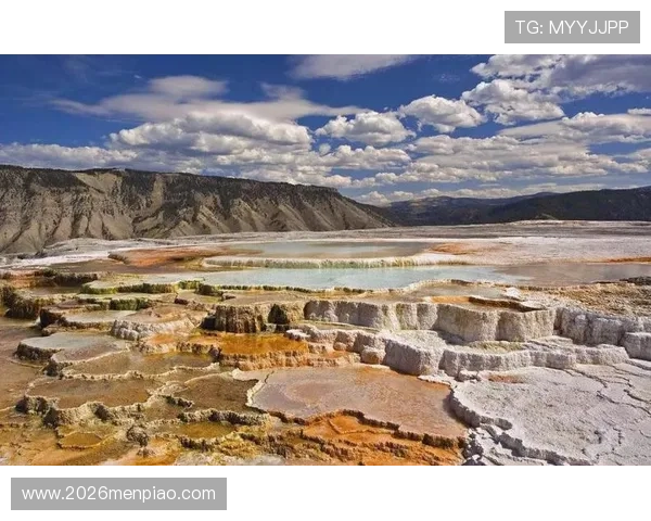 2026年世界杯举办地的安全保障措施与应急预案分析